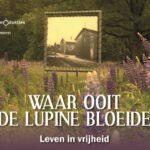 Waar ooit de lupine bloeide