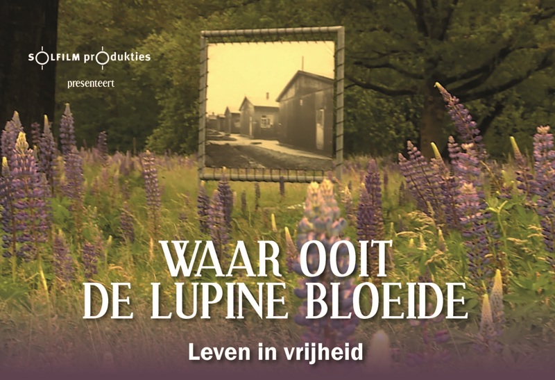 Waar ooit de lupine bloeide